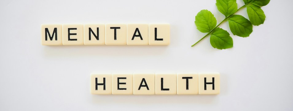 Supporting Mental Health Week 2004