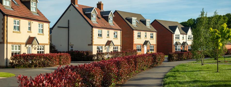 Houses street view